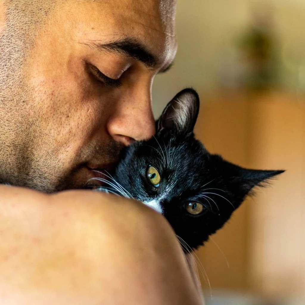 Brasil perdeu, voce ficou frustrado e seu gato percebeu: a ciencia explica