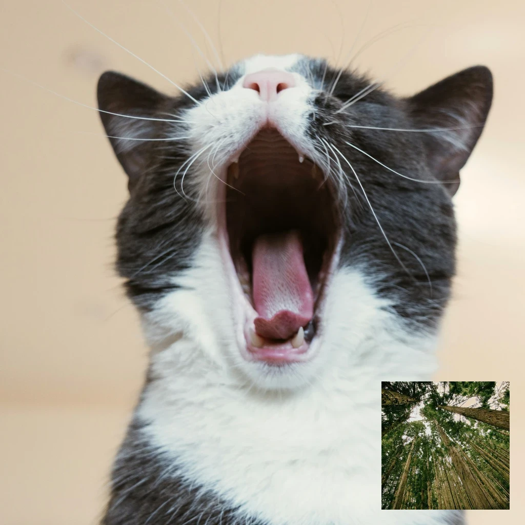 Brinquedo interativo para gatos: como combater o tédio felino