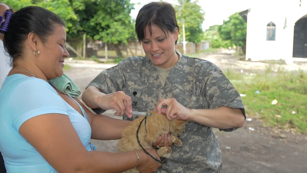 Vacinação felina 2026: calendario atualizado e o que voce precisa saber
